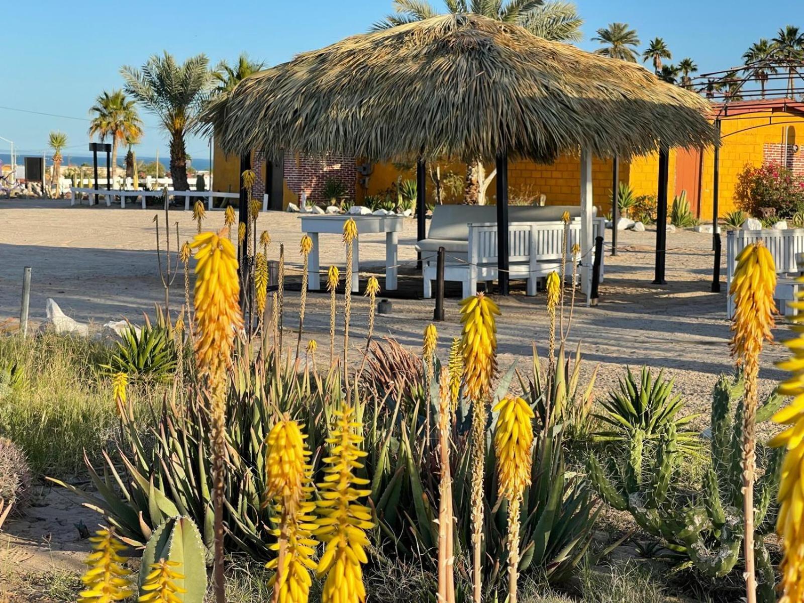 Hotel Las Palmas サン・フェリペ エクステリア 写真
